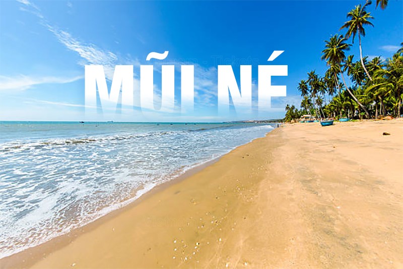 Từ Sài Gòn đi Phan Thiết mất bao nhiêu tiếng khi di chuyển bằng xe khách? Từ Sài Gòn đi Phan Thiết mất bao nhiêu tiếng khi di chuyển bằng xe khách?
