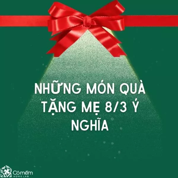 Tuyển Chọn Quà Tặng Ngày 8 Tháng 3: Từ Lãng Mạn Đến Thiết Thực, Phù Hợp Mọi Đối Tượng Tuyển Chọn Quà Tặng Ngày 8 Tháng 3: Từ Lãng Mạn Đến Thiết Thực, Phù Hợp Mọi Đối Tượng