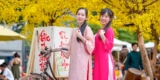 Khám Phá Dịch Vụ Tuyến Đường Nhà Xe Phương Trang Sài Gòn – Trải Nghiệm Hành Trình Tuyệt Vời
