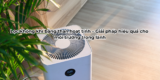 So sánh hiệu quả các phương pháp khử mùi ô tô: Từ tự nhiên đến công nghệ cao